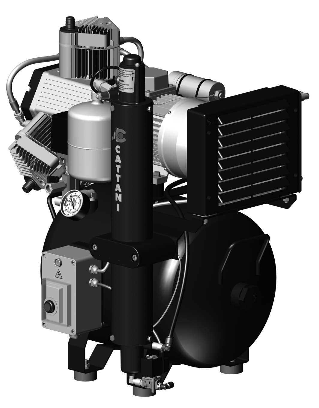 Cattani AC 300